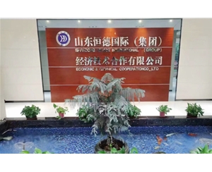 陕西恒德公司